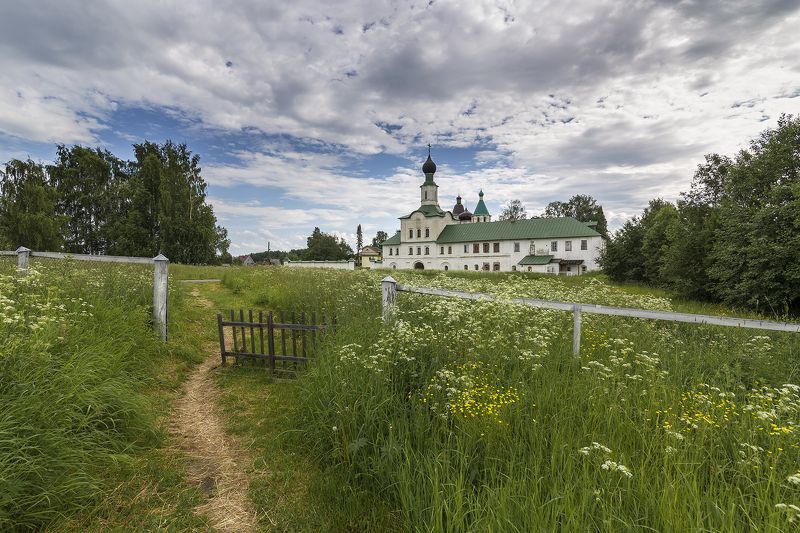 По высокой траве. фото превью