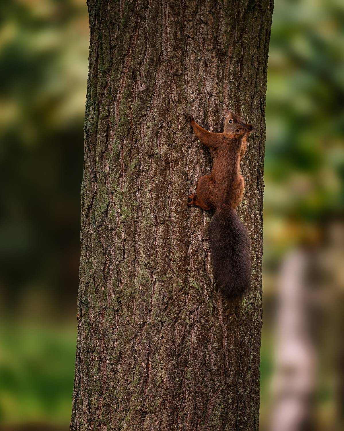 , Георгий Бычковский