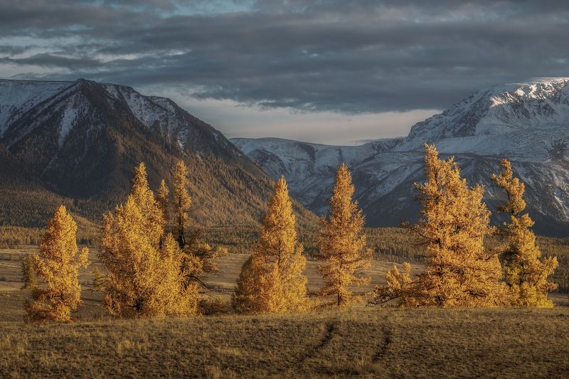 Алтай фото превью
