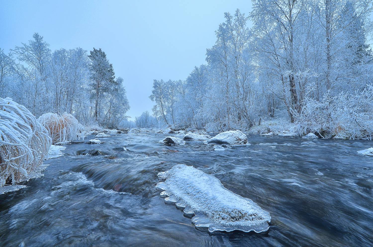 кольский, зима, р.валма, Тихонов Сергей