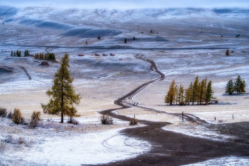 алтай горы деревьяутро пейзаж красивый снег мороз Предзимье фото превью