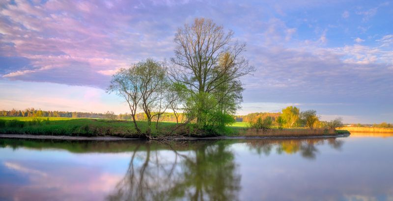 утро, весна, река, небо, деревья, Весеннее утро фото превью