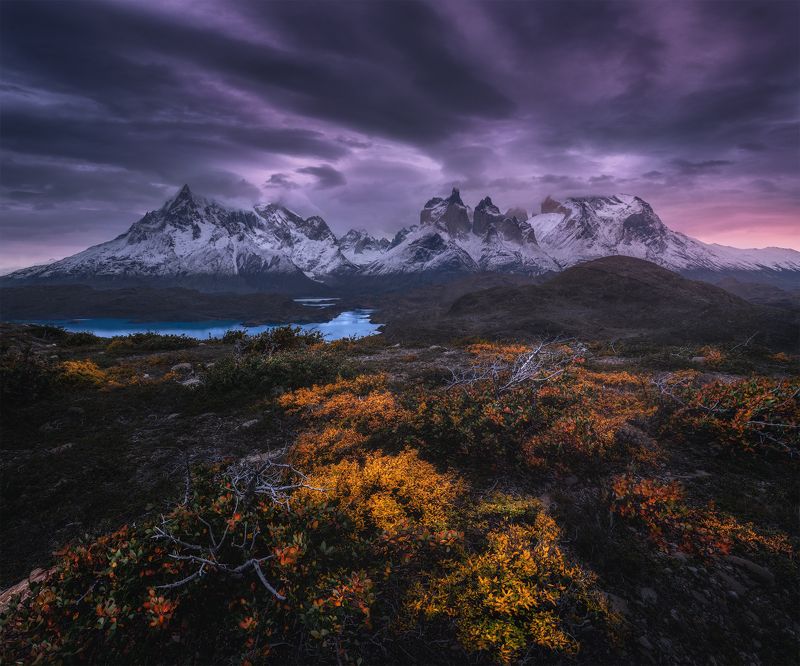 Torres del Paine фото превью