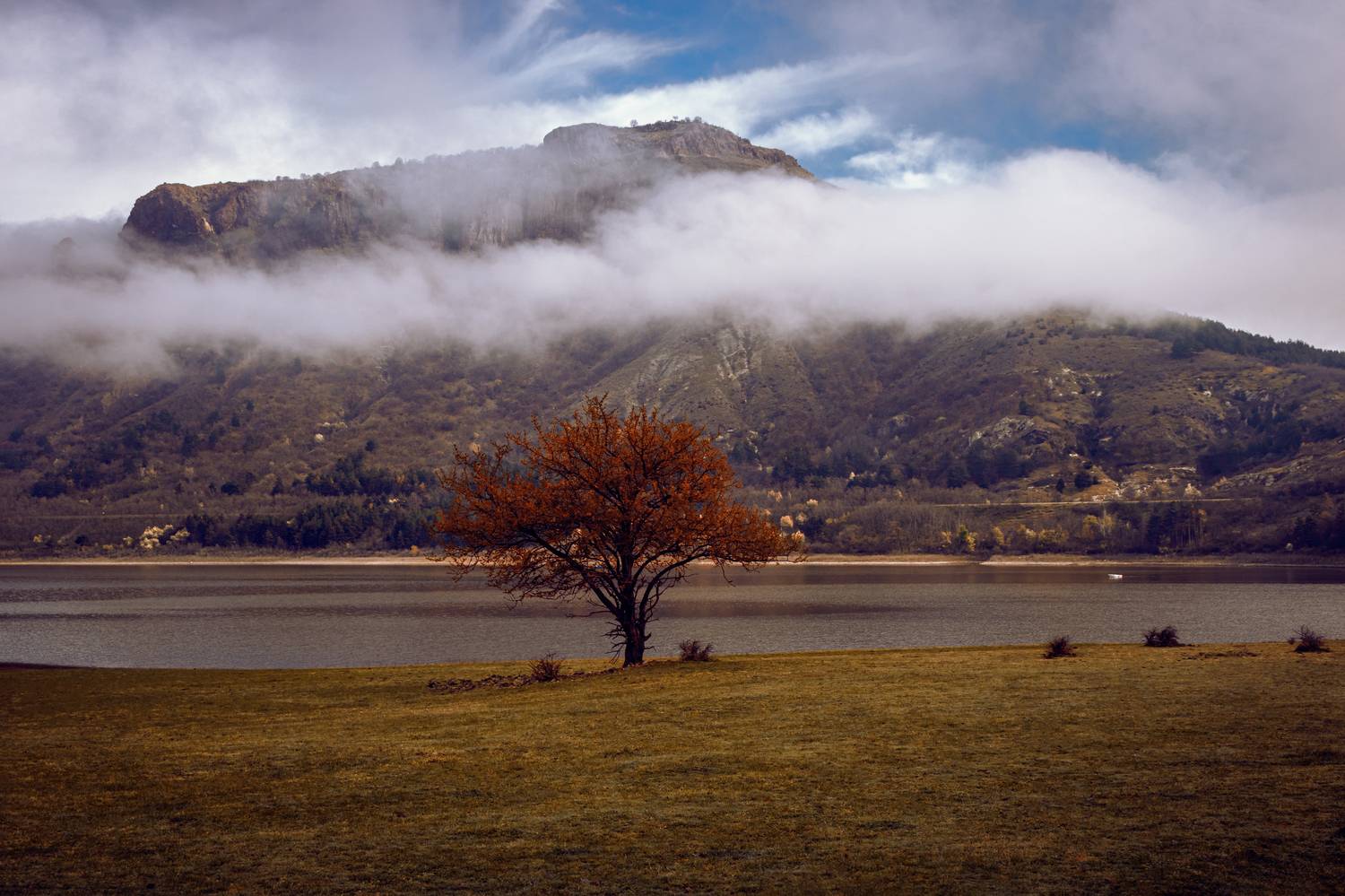 , Бобчева Веселина
