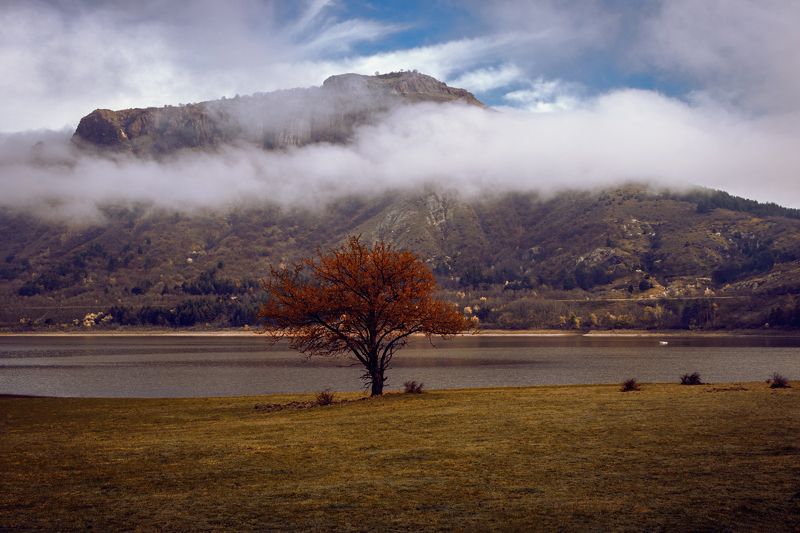 foggy morning фото превью