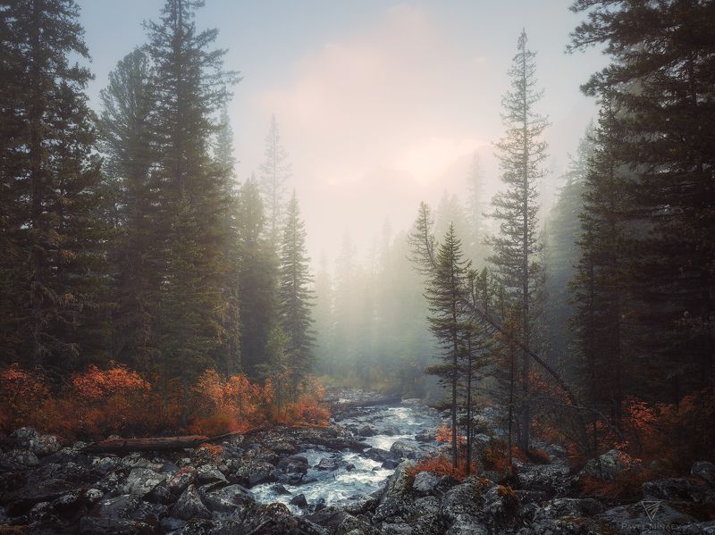 Туманное утро на Поперечной фото превью