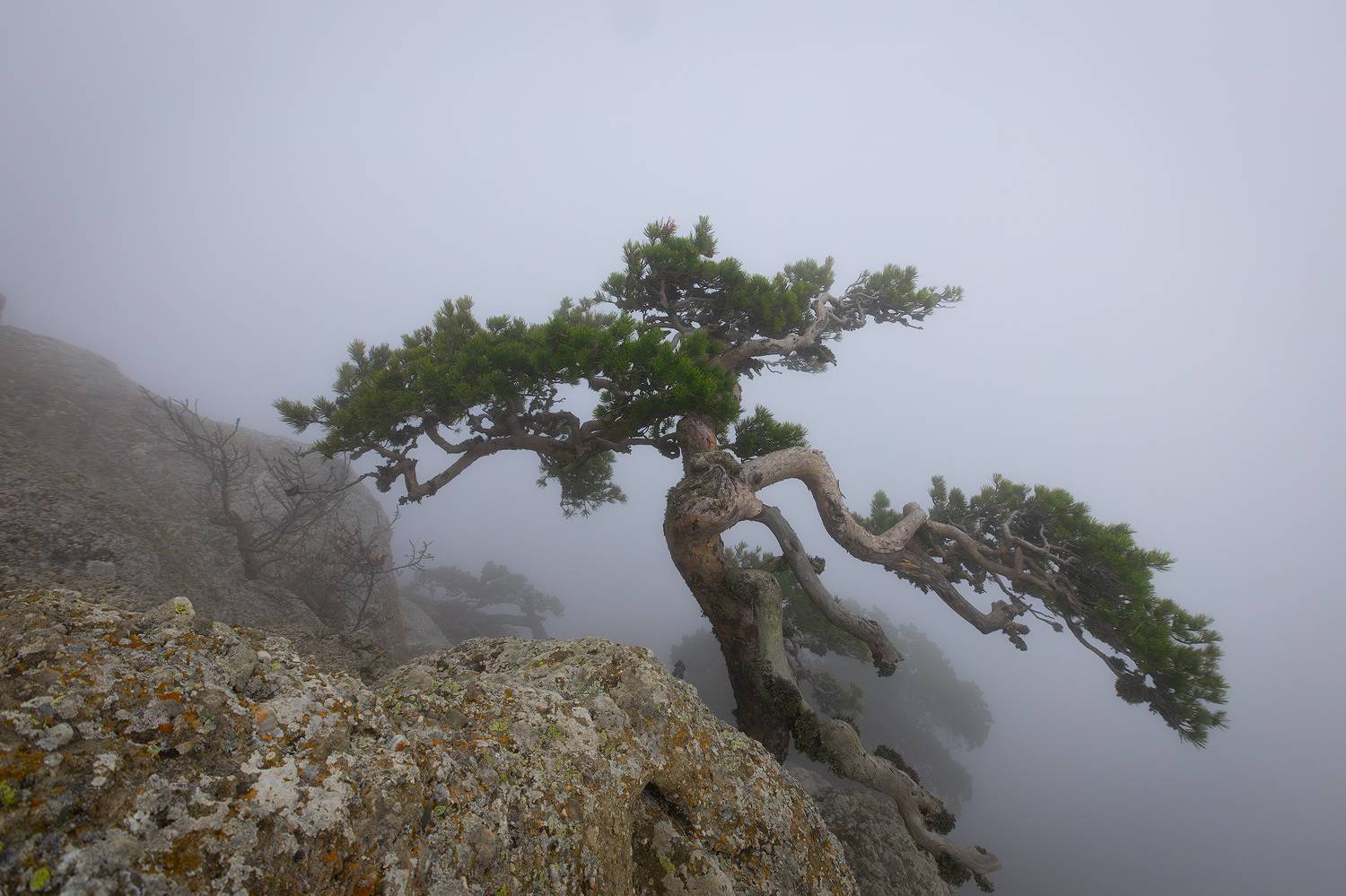 , Костенко Александр