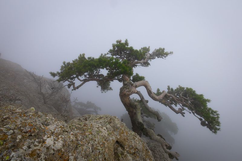 ***** фото превью