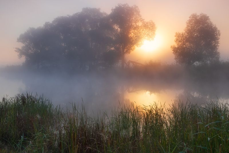 Безмятежность утра фото превью