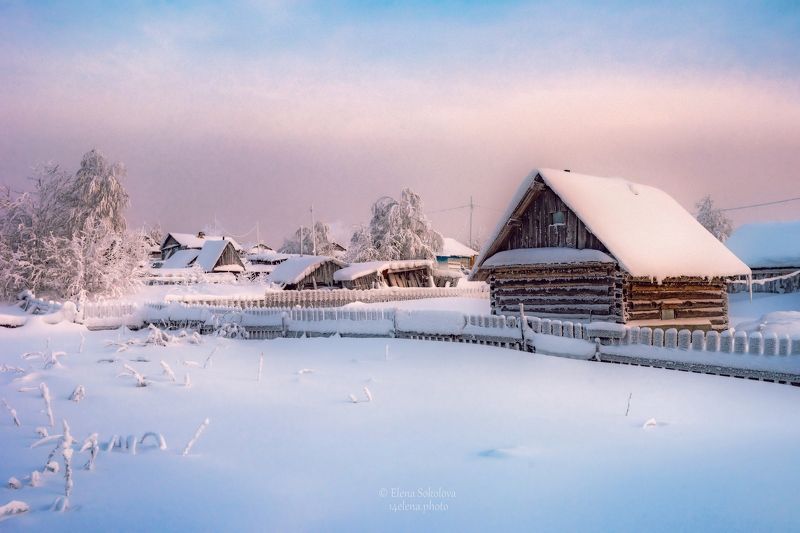 зима, деревня, село, вечер Вечерние краски зимы фото превью