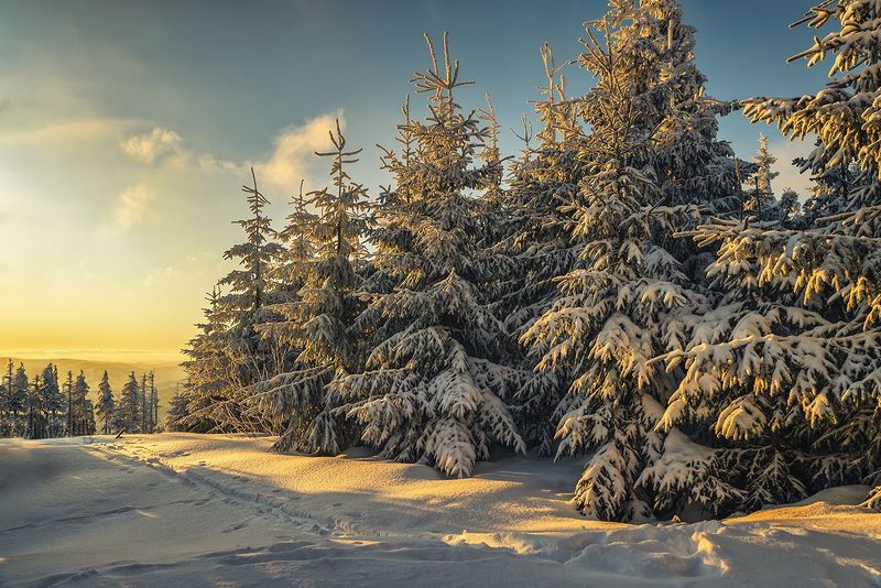 Zimowy poranek фото превью