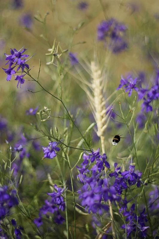 без оглядки.. фото превью