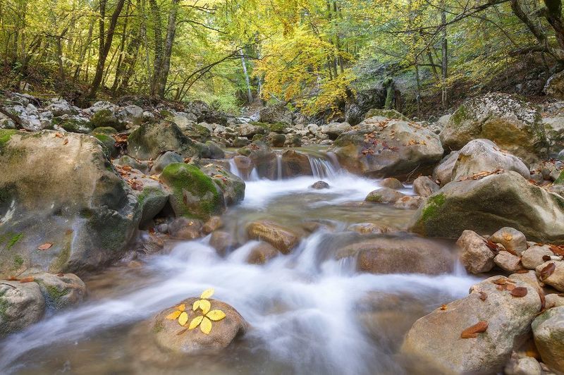 крым, осень, каньон. Осенний Крым. Октябрь. фото превью