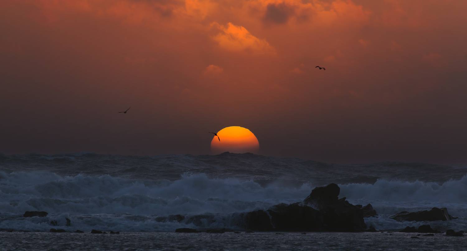 тихий океан, закат, шторм, чайки, командоры, Уткин Дмитрий