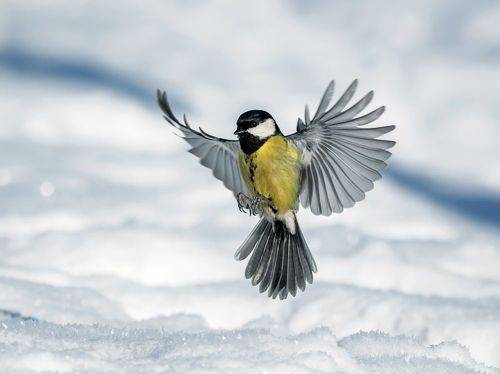 Во всей красе