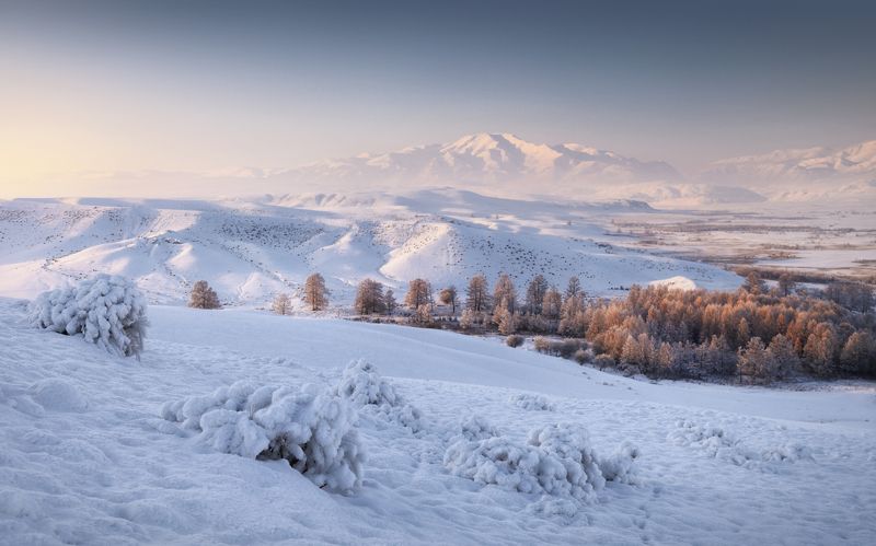 алтай, горный алтай, пейзажи алтая, кош-агачский район, суккор, чуйская степь, зимний алтай, горы, зима, степь зимой Зимний сон Суккора фото превью