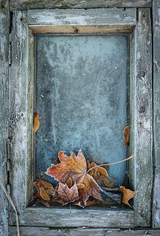 Первые заморозки фото превью