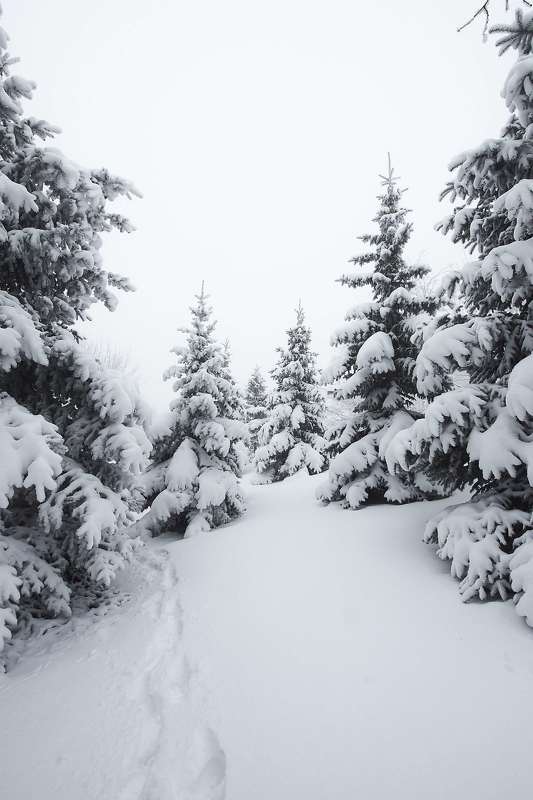 # фото превью