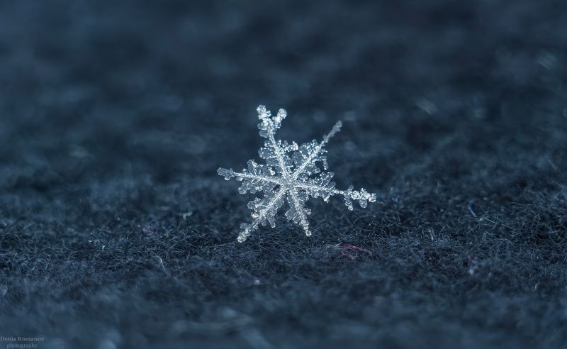 снежинка ,макро ,зима ,winter, macro *** фото превью