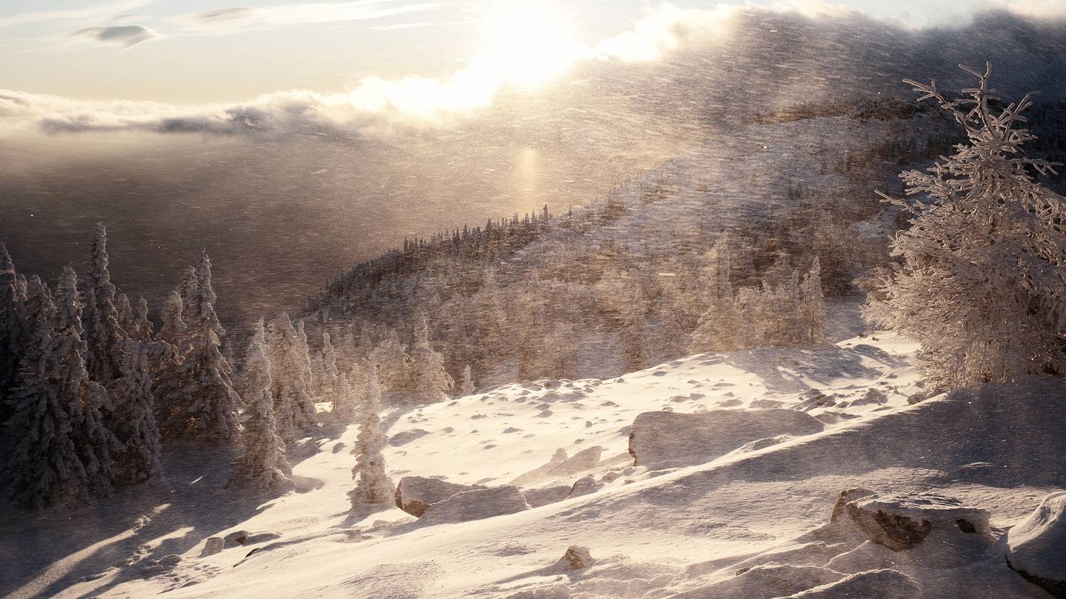 , Бодрягин Виталий