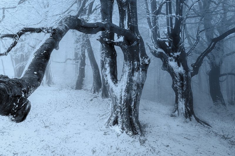 Winter mood фото превью