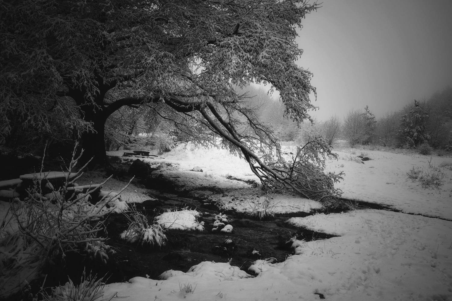 , Юлияна Стоянова