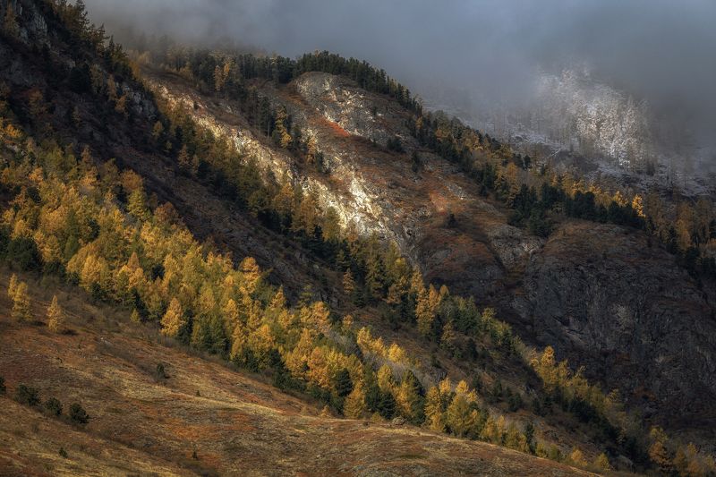 Алтай фото превью