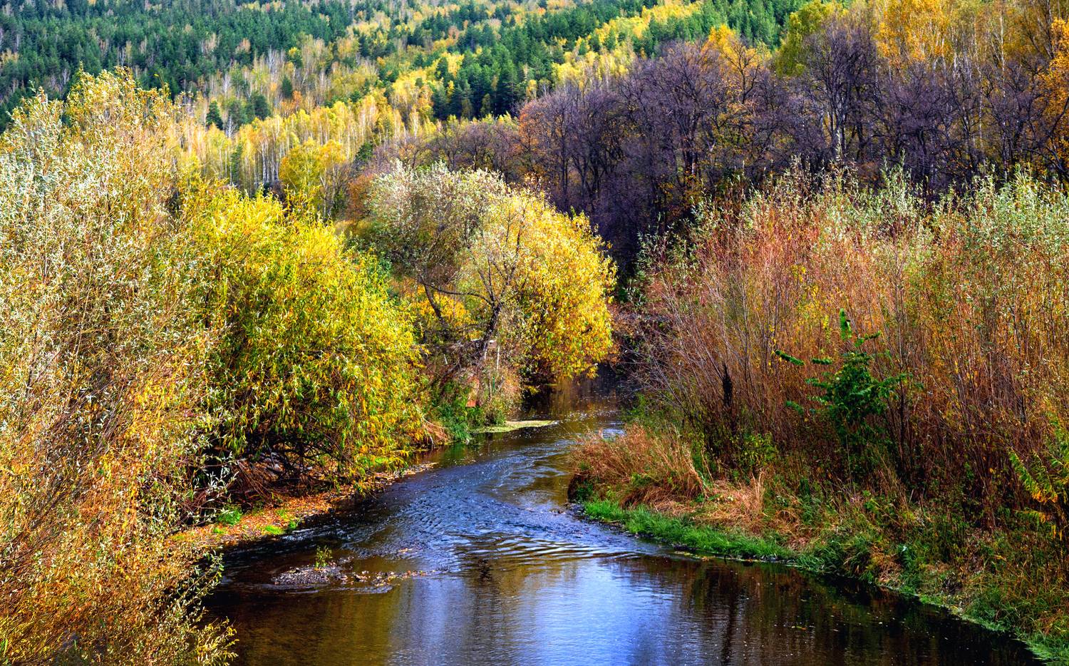 , Ушаков Валерий