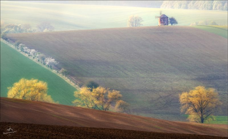 чехия, южная моравия, фототур, фототуры 2025, south moravia, czech, мельница Когда-то была весна .. фото превью