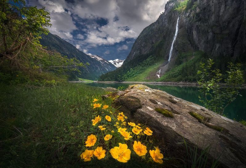 Zillertal, Tirol, Austria, landscape Blooming Spring фото превью