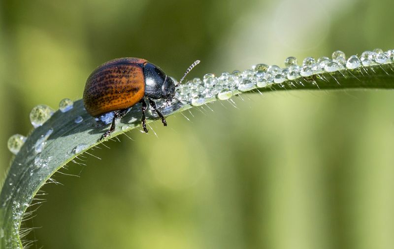Бриллиантовые дороги фото превью