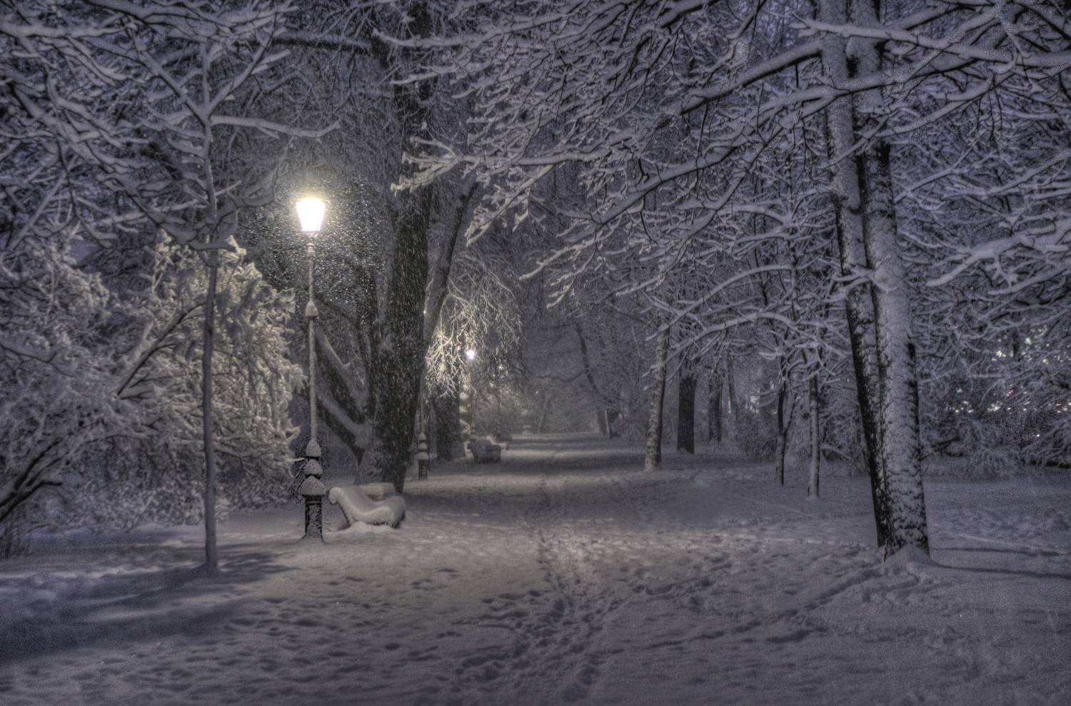 , Сергей Григорьев