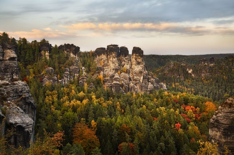германия, гора, скалы, парк, саксонская швейцария, germany, mountain, hills, rock, saxon switzerland, deutschland Эльбские Песчаниковые горы / Elbe sandstone mountains фото превью