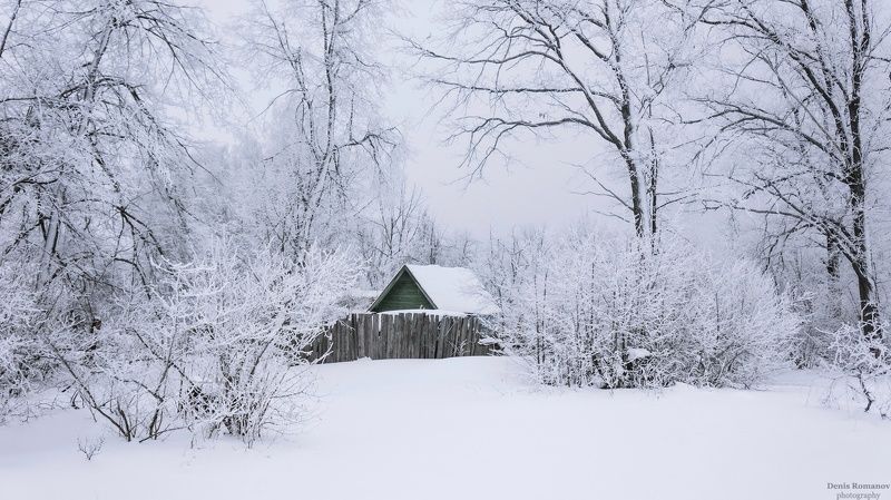 природа ,пейзаж ,зима ,лес nature ,landscape ,forest ,winter Жила зима в избушке... фото превью