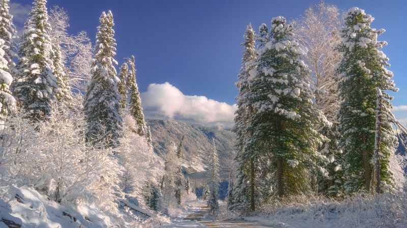 Дорога фото превью