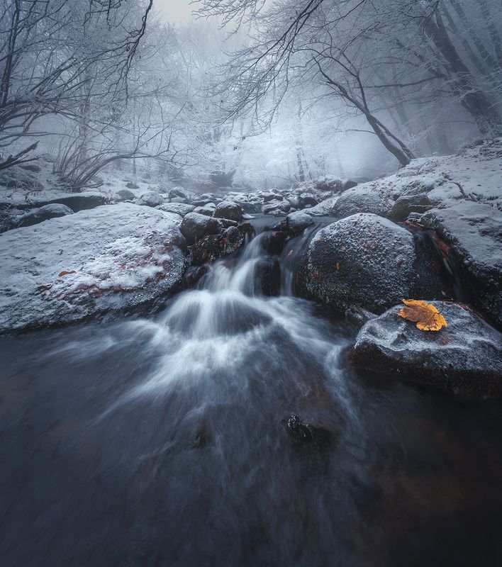 landscape nature scenery forest wood autumn rime mist misty fog foggy river longexposure mountain rocks vitosha bulgaria Chilly wishes / Замороженные желания фото превью