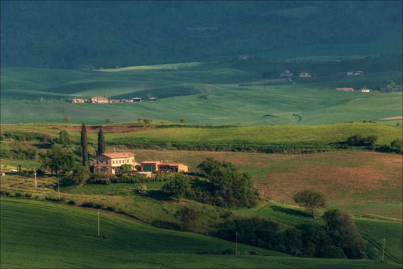 italy,san quirico d\\\'orcia,italia,италия,тоскана,pienza,кипарис,toscana,весна,tuscany,cipressi,belvedere,пьенца,тени Яркий лайм Тосканы фото превью