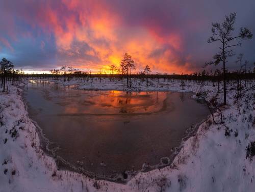 Болотный ноябрь