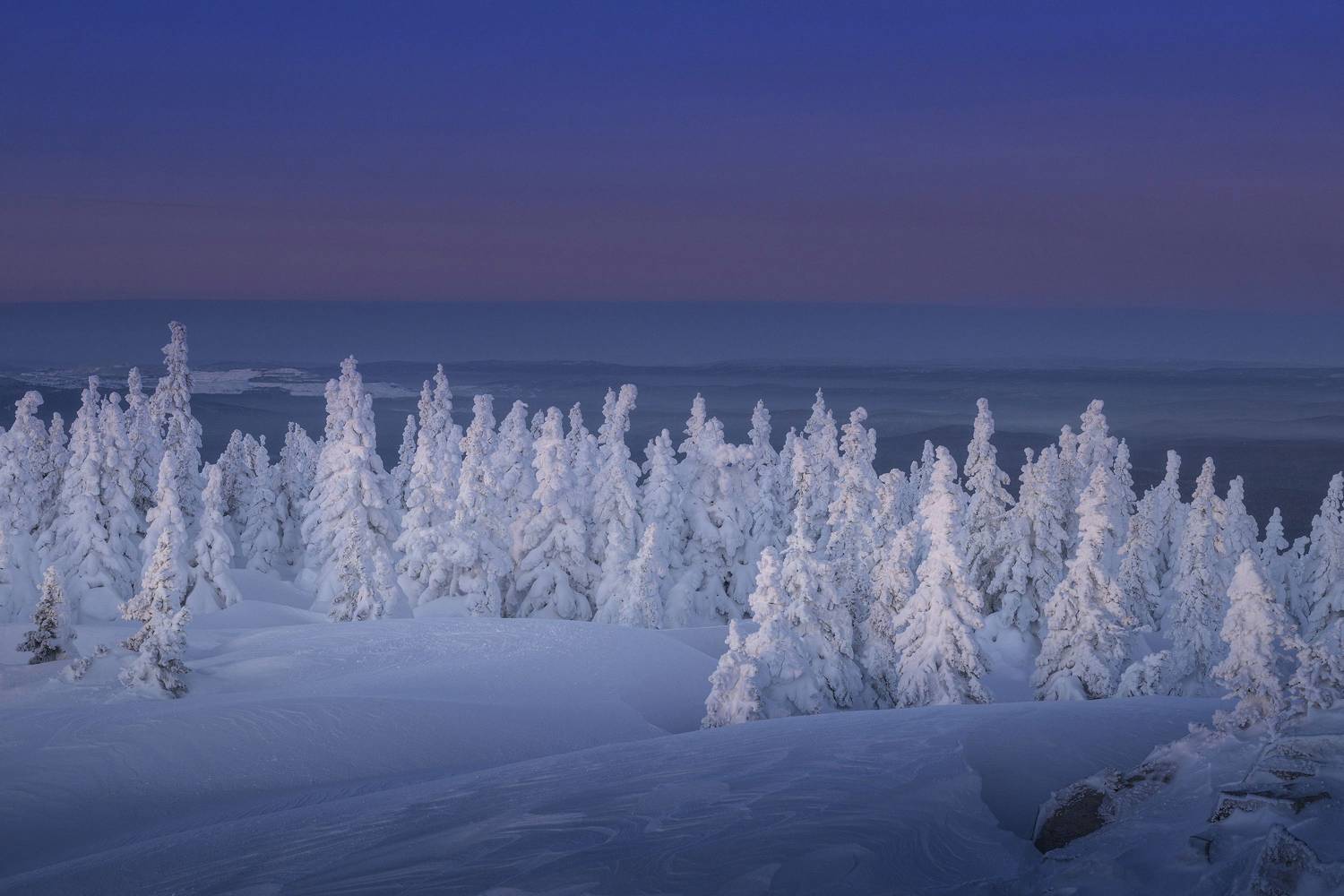 , Татьяна Бирюкова