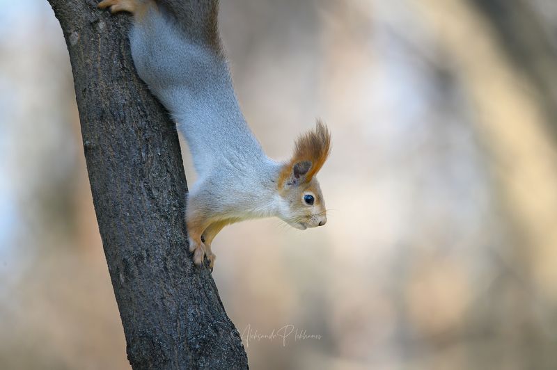 Тёплым днём фото превью
