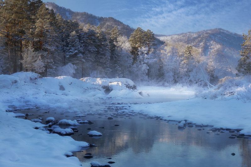 В морозном тумане фото превью