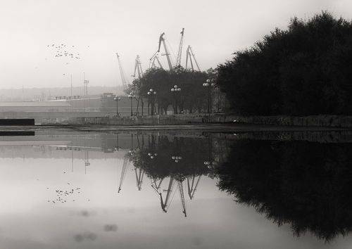 Зимы в туманных областях.