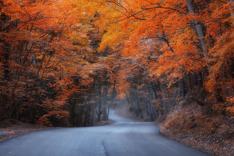 дорога на Ай-Петри фото превью