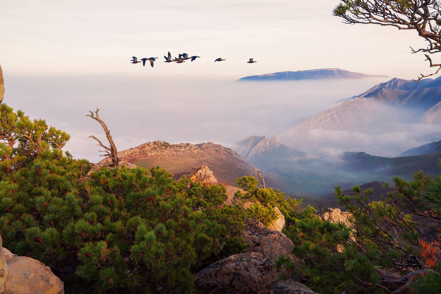 пейзаж,горы,вечер,дагестан,утки,, Magov Marat
