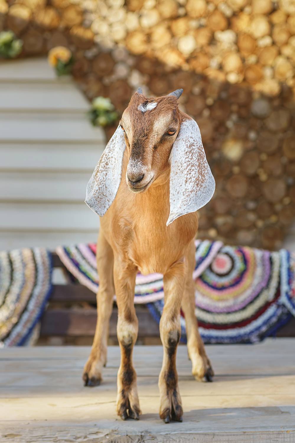 , Корнеев Алексей