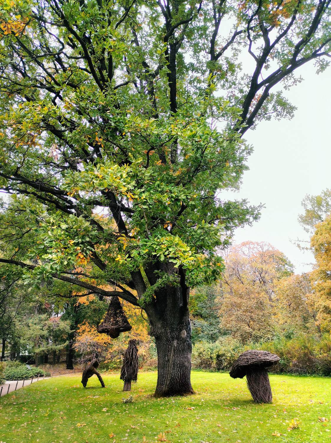 парк, дерево, Валерий Вождаев