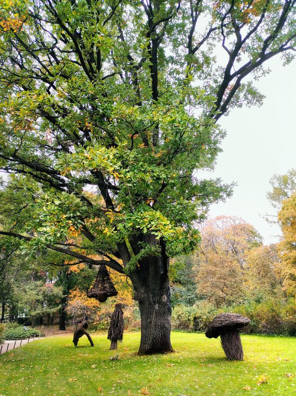 В парке фото превью