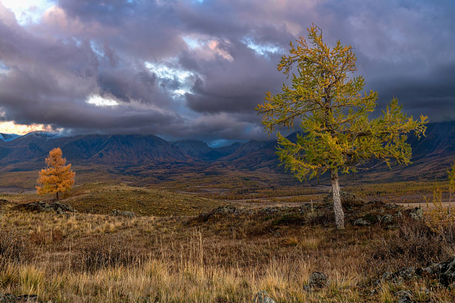 алтай, осень, горы, Юрий Матвеев