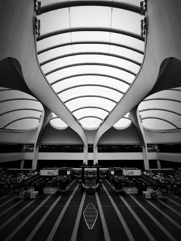 LINES фото превью