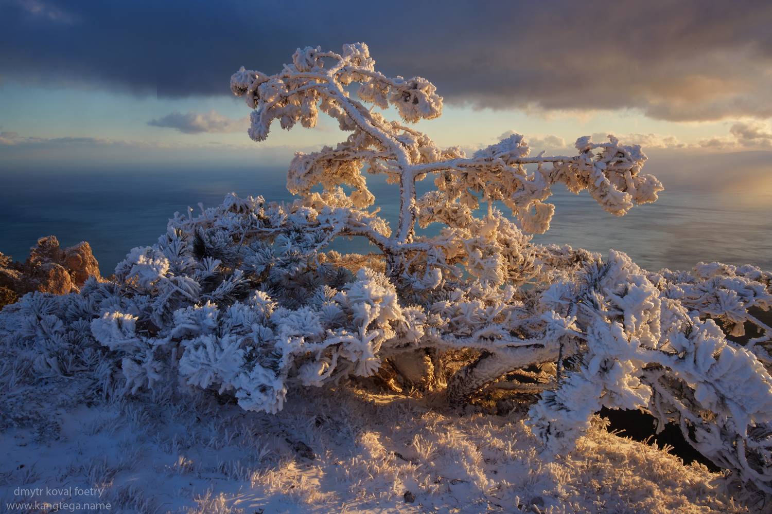 пейзажемагьё, пейзаж-как-виденье, Коваль Дмитр